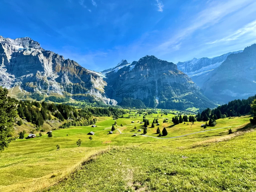 10月のswissの画像